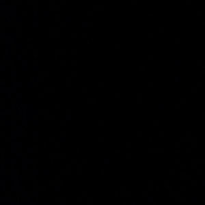 Meet your Posher, Grady